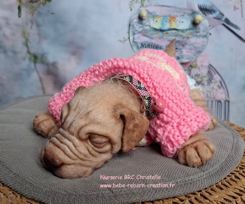 Benni Simon Laurens  (3)